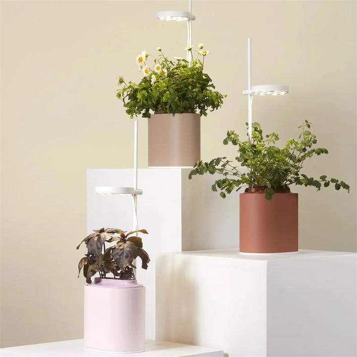 Produktbild Prêt à Pousser Kräutertopf Nano (13.50 cm)
