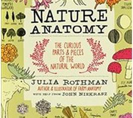 Produktbild Nature Anatomy : The Curious Parts and Pieces of the Natural (Julia Rothman, Englisch)