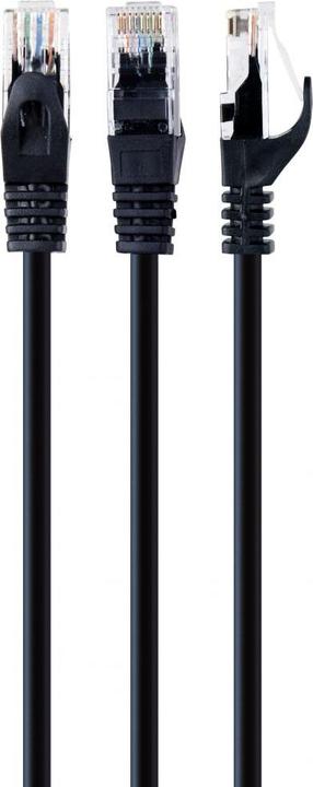 Image du produit Gembird Câble de raccordement (UTP, CAT6, 0.25 m)