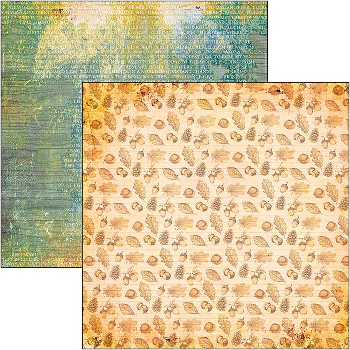 Produktbild Ciao Bella Scrapbook-Papier "Into the Wild", 12 Blatt, 30,5 x 30,5 cm (190 g/m², 12 x)
