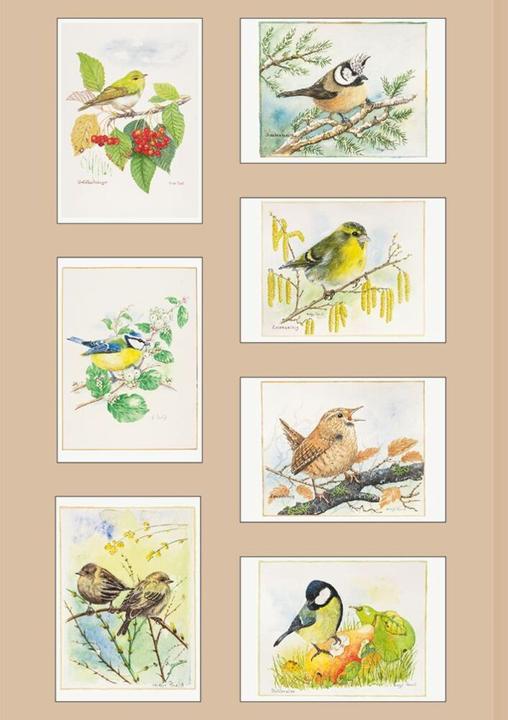 Produktbild Kleine Gartenfreunde (14 Stk.)