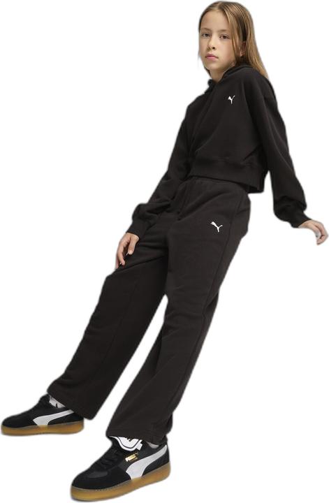 Produktbild Puma WARDROBE ESS Short Length Hoodie TR G (164)