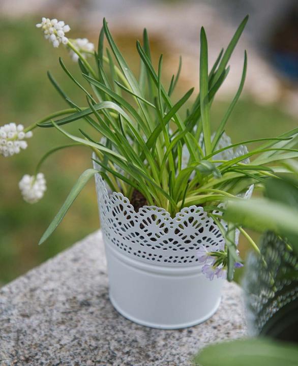 Image du produit Esmée Pot de fleurs, cache-pot avec pointes, tôle (11 cm)