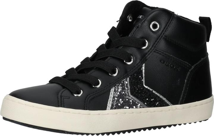 Black/Silver