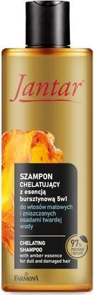 Farmona Jantar Amber Power Chelating Shampoo mit Bernstein-Essenz 5 in 1 300ml (300 ml, Flüssiges Shampoo)