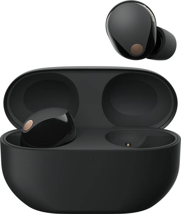 Sony WF-1000XM5 (NC, 8 h, Wireless)