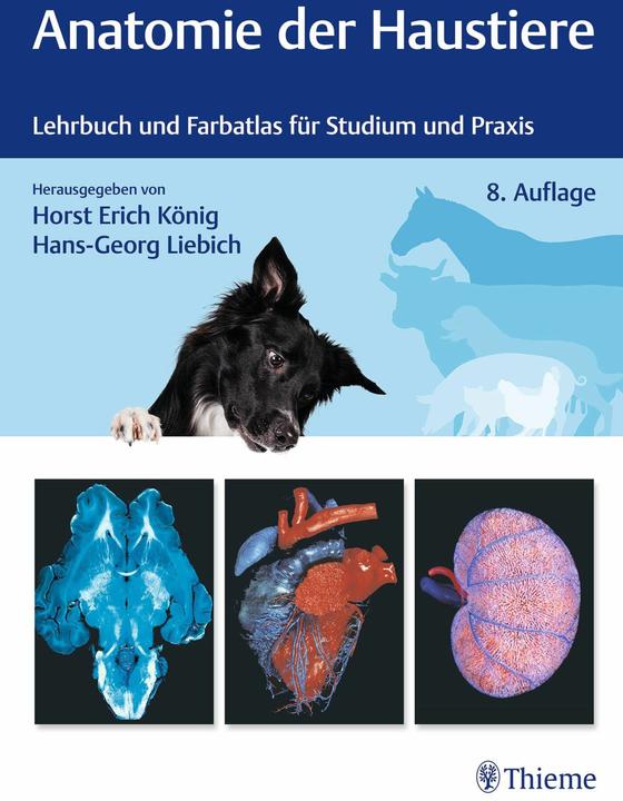 Actual product image Anatomie der Haustiere (German, Hans-Georg Liebich, Horst Erich König, 2024)