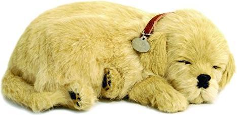 Actual product image Perfect Petzzz soft golden retriever dog (22 cm)