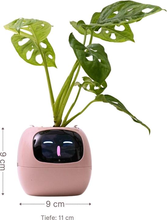 Image du produit Hermex Pot de fleurs intelligent (11 cm)