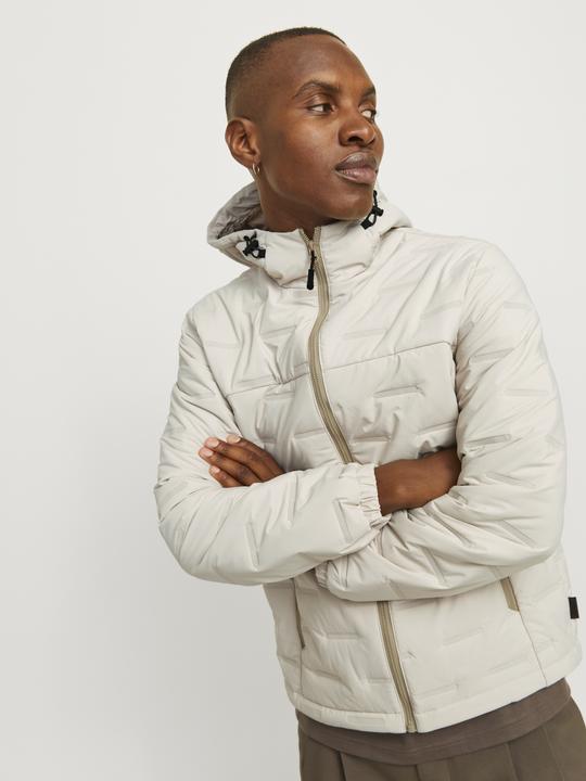 Image du produit Jack & Jones Jcosonic Light Jacket Sn (L)