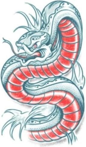 Actual product image Tinsley Transfers Arm tattoo snake