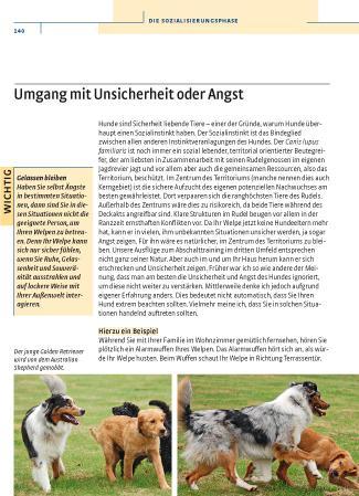 Actual product image Kosmos Vom Welpen zum Familienhund mit Natural Dogmanship (German, JAN, Nijboer, 2015)