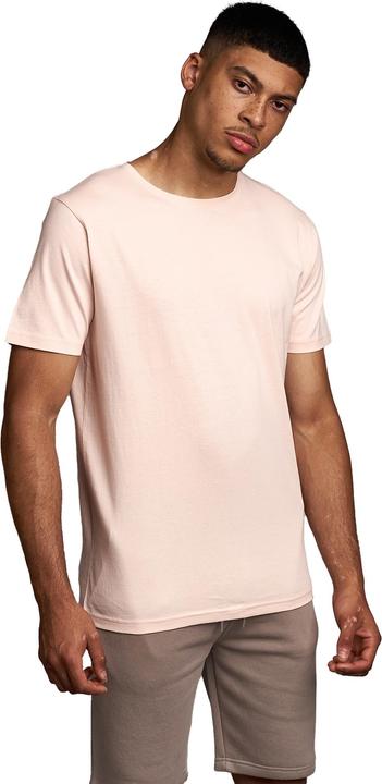 Juice Mens Fanshaw T-Shirt (S)