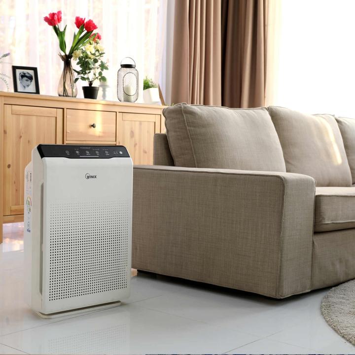 Image du produit Winix Zero (99 m²)