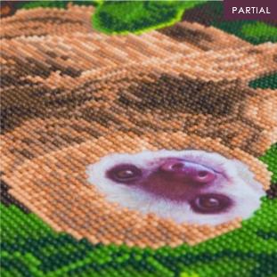 Image du produit Craft Buddy Paresseux bicéphale, 30x30cm Crystal Art Kit