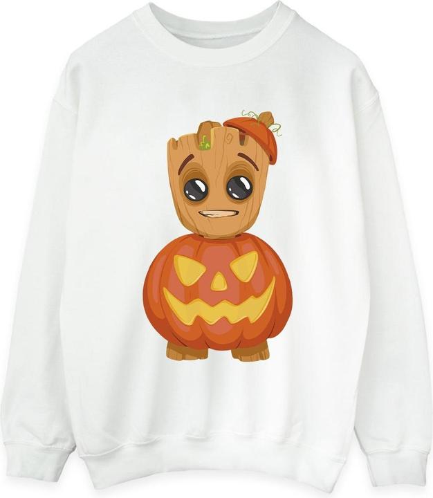 Produktbild Sweatshirt (M)