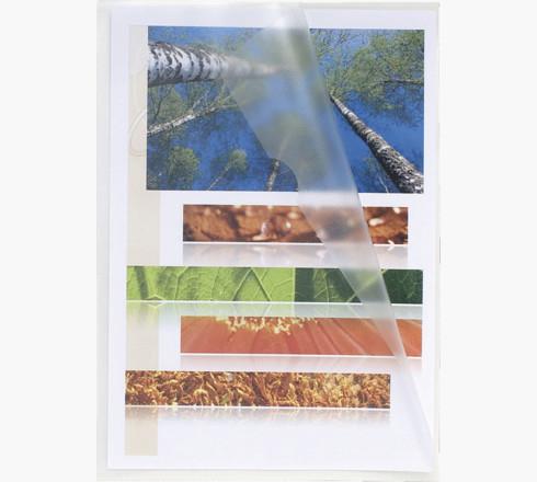 Produktbild Exacompta Sichthülle (A4, 100 x)