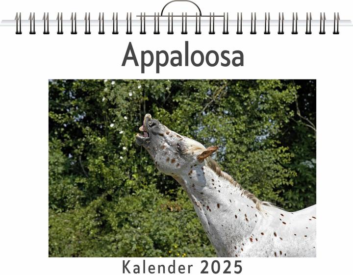 Flip flop Appaloosa (Deutsch)
