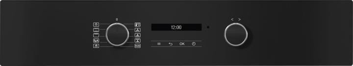 Actual product image Miele H 2861 BP