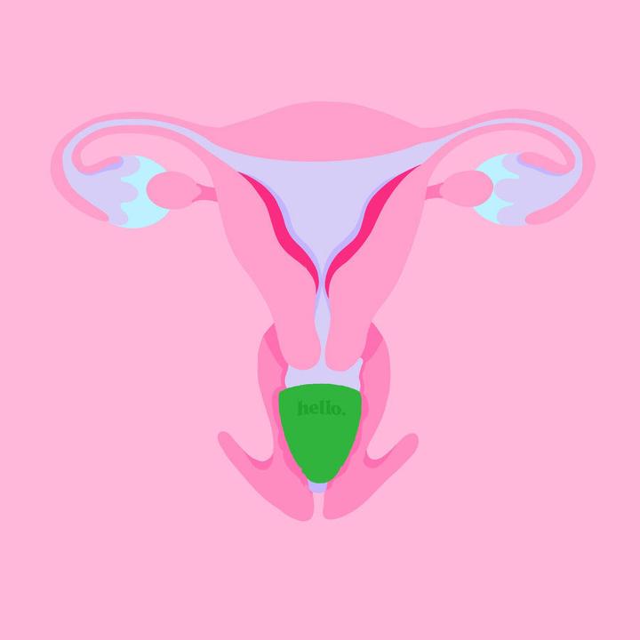 Produktbild Hello. Low Cervix (L)