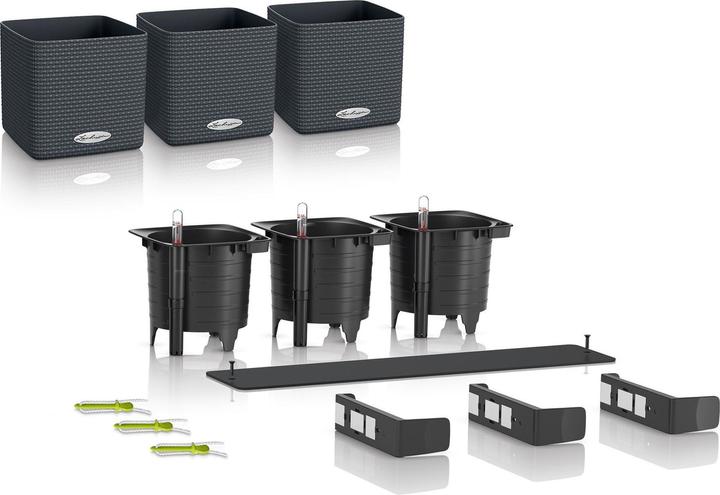 Immagine prodotto Lechuza Green Wall Home Kit (15 cm)