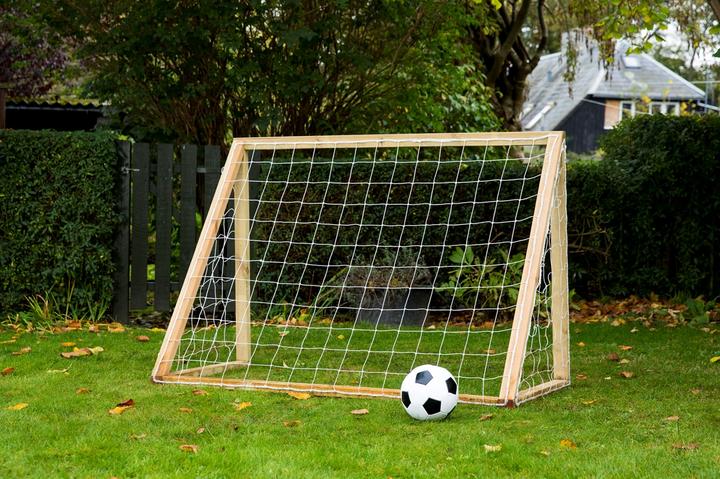 Euro Play Homegoal Classic Mini