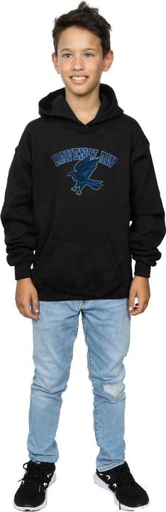 Actual product image Boys Ravenclaw Cotton Hoodie (116)
