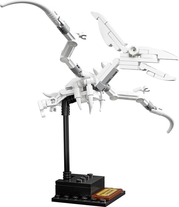 Image du produit LEGO Fossiles de dinosaures (21320, LEGO Ideas)