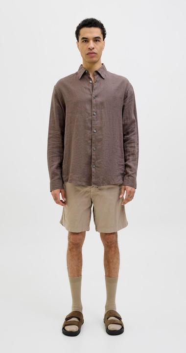 Actual product image Jack & Jones Relaxed Fit Relaxed Fit Shorts Relaxed Fit Shorts (M)