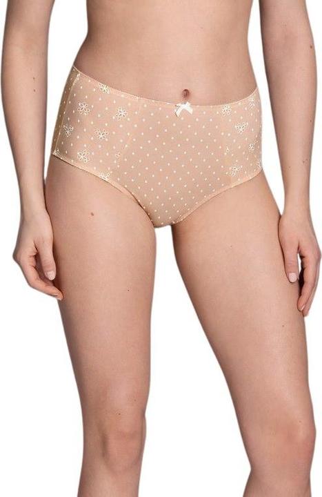 Actual product image Anita 's high-waisted briefs belvedere (52)