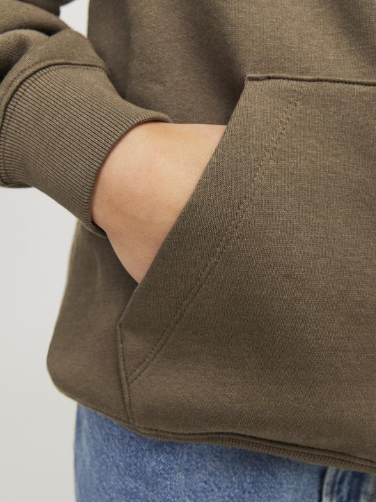 Produktbild Jack & Jones Gedruckt Kapuzenpullover Für jungs Kapuzenpullover (176)