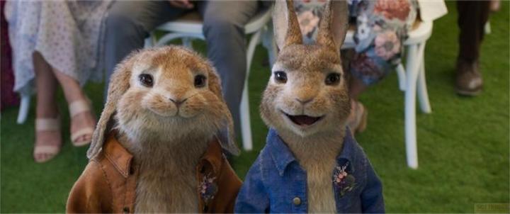 Actual product image Sony Peter Hase 2 - A Hare Gets Away - BR (Blu-ray, 2021, English, German)