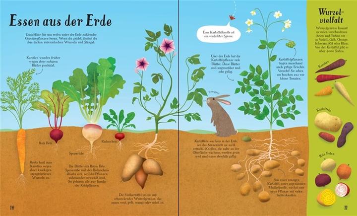 Produktbild So wächst unser Essen! (Deutsch, Emily Bone, 2018)