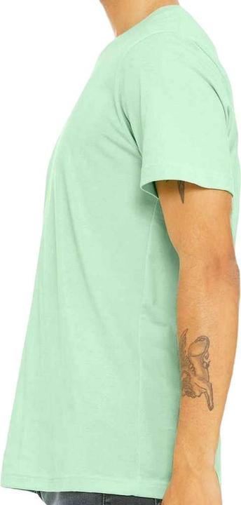 Actual product image Bella Canvas Adults Unisex Tri-Blend T-Shirt (XL)