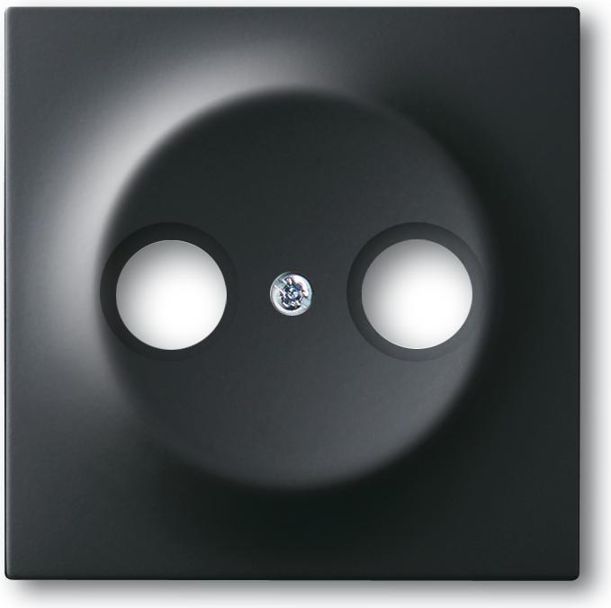Actual product image Busch-Jaeger Central disk