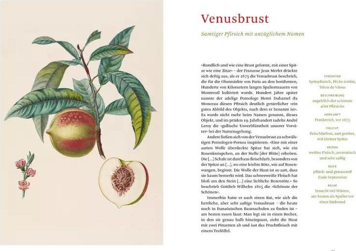 Image du produit Die alten Obstsorten (Allemand, Aveugle Sofia, Bibliothèque d'État de Berlin, 2020)