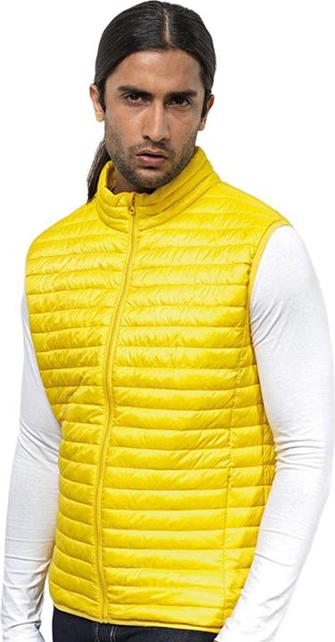 Image du produit 2786 Bodywarmer Tribe Fineline (M)
