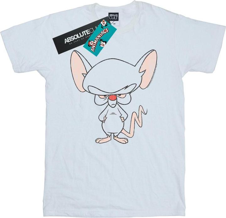 Image du produit Universal Textiles - T-shirt THE BRAIN CLASSIC POSE - Homme (L)