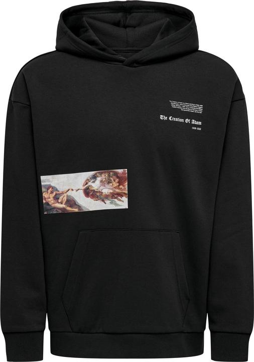 Produktbild Only & Sons Onsapoh Life Rlx Sweat Hoodie (M)