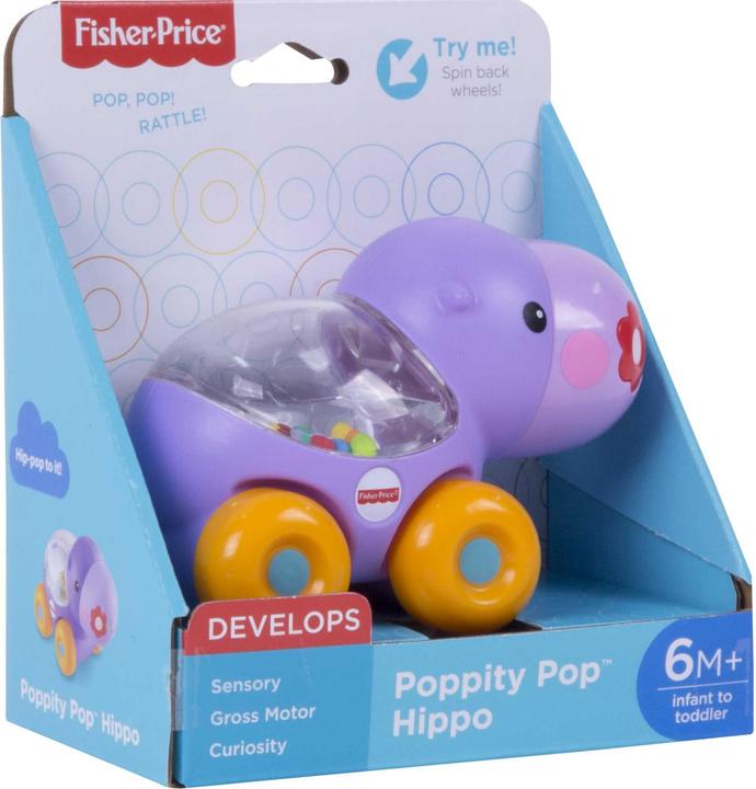 Actual product image Fisher-Price Poppity Pop
