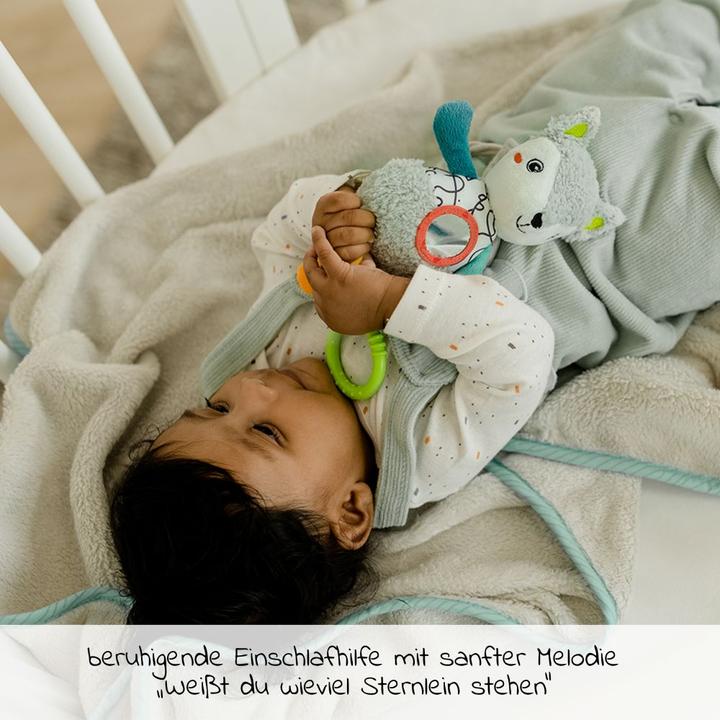 Produktbild Fehn Spieluhr Mini DoBabyDoo Fuchs, Material: Druckstoff