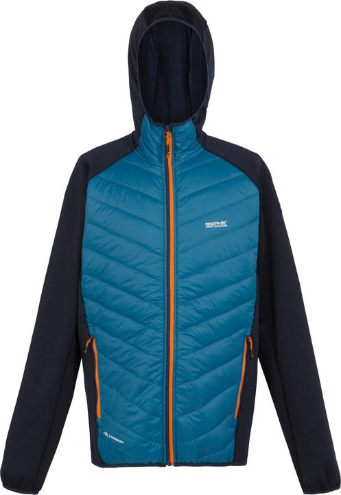 Bright blue, Navy blue, chestnut