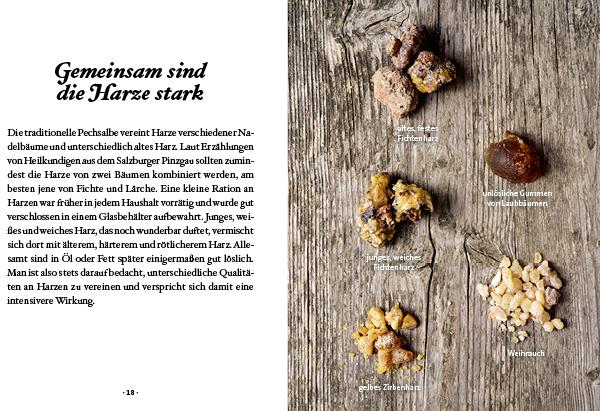 Produktbild Das kleine Buch: Harz- und Pechsalben (Deutsch, Karin Buchart, 2023)