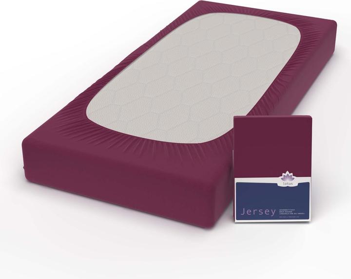 Image du produit Lotus Bettwaren Jersey Fix Comfort (100 x 200 cm, 90 x 190 cm, 90 x 200 cm)