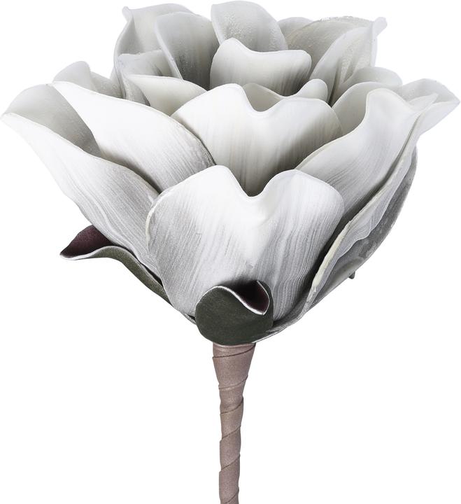 Immagine prodotto EGLO LIVING Molave (65 cm)