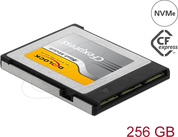 Immagine prodotto Delock 54066 (256 GB, CF)