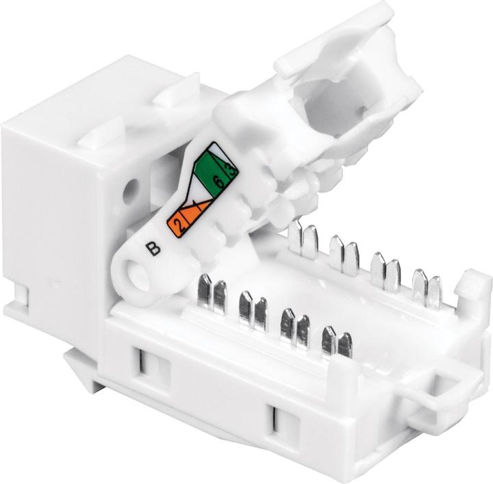 Produktbild Trendnet TC-K25C6 Modulare Eingabe (Packung mit 25) (Patch Panel)