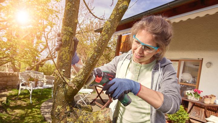 Produktbild Bosch Home & Garden EasyCut 12 (Akku Kettensäge)