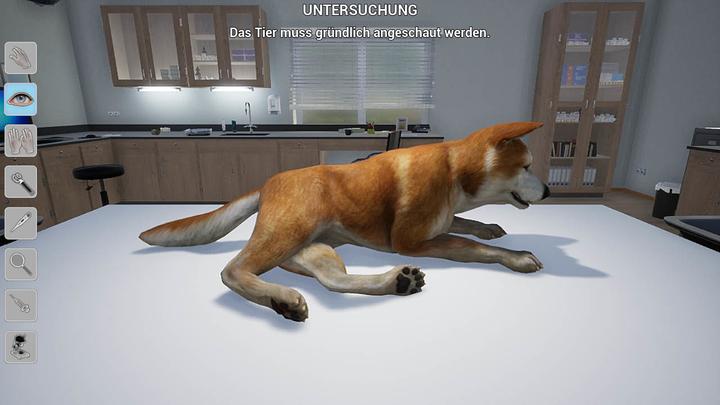 Actual product image My veterinary practice (Switch, DE)