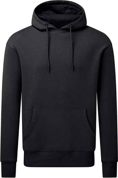Anthem Kapuzenpullover